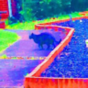 Meet your Posher, Ruby